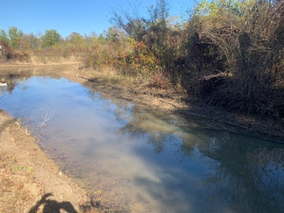 Horn Lake WRP Hunting Land for Sale in Prairie Co., Arkansas - image 37