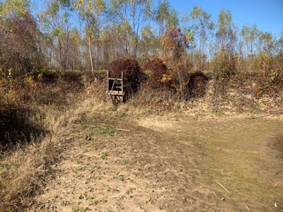 Horn Lake WRP Hunting Land for Sale in Prairie Co., Arkansas - image 38