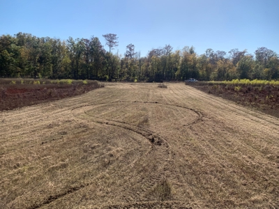 Horn Lake WRP Hunting Land for Sale in Prairie Co., Arkansas - image 41