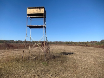Horn Lake WRP Hunting Land for Sale in Prairie Co., Arkansas - image 40