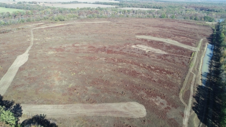 Horn Lake WRP Hunting Land for Sale in Prairie Co., Arkansas - image 8