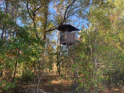 Horn Lake WRP Hunting Land for Sale in Prairie Co., Arkansas - image 30