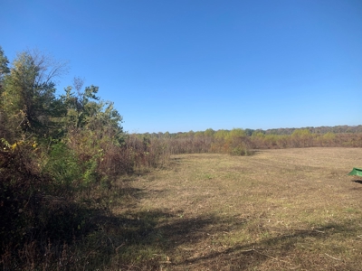 Horn Lake WRP Hunting Land for Sale in Prairie Co., Arkansas - image 22
