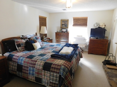 Home Dogpatch Marble Falls Newton County Ozarks For Sale - image 11
