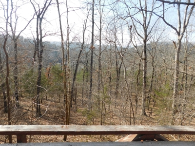 Home Dogpatch Marble Falls Newton County Ozarks For Sale - image 1