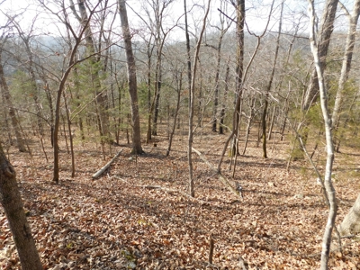 Home Dogpatch Marble Falls Newton County Ozarks For Sale - image 20