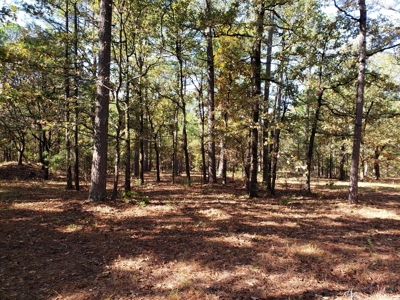 Blue Mountain 9.1 Acres Adjoining National Forest - image 10