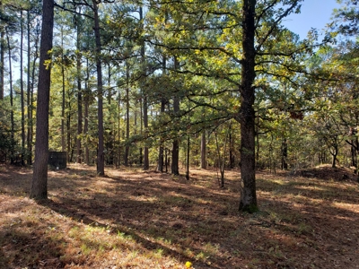 Blue Mountain 9.1 Acres Adjoining National Forest - image 11