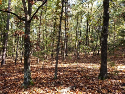 Blue Mountain 9.1 Acres Adjoining National Forest - image 9