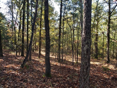 Blue Mountain 9.1 Acres Adjoining National Forest - image 5
