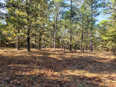 Blue Mountain 9.1 Acres Adjoining National Forest - image 2