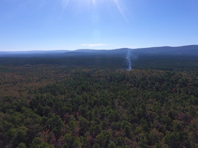 Blue Mountain 9.1 Acres Adjoining National Forest - image 1