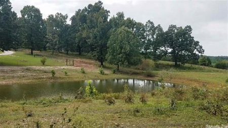 Country home on small acreage for large family for sale AR - image 33
