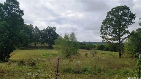 Country home on small acreage for large family for sale AR - image 34