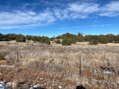 Fully Fenced Off Grid 5 Acres for Sale - image 4