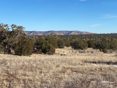 Fully Fenced Off Grid 5 Acres for Sale - image 5