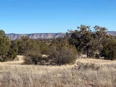 Fully Fenced Off Grid 5 Acres for Sale - image 3