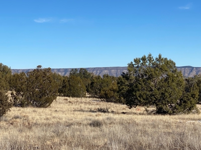 Fully Fenced Off Grid 5 Acres for Sale - image 7