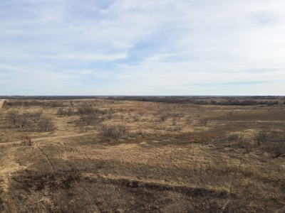 Land For Sale Texas Highway Frontage Ranch Hunting Ringgold - image 18