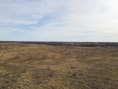 Land For Sale Texas Highway Frontage Ranch Hunting Ringgold - image 16