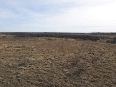 Land For Sale Texas Highway Frontage Ranch Hunting Ringgold - image 8