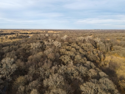 Texas Hunting Land For Sale Ranches Montague County Property - image 17