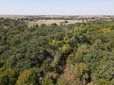 Texas Hunting Land For Sale Ranches Montague County Property - image 10