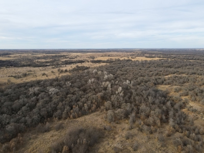 Texas Hunting Land For Sale Ranches Montague County Property - image 4