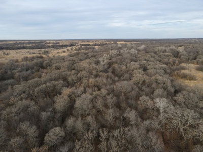 Texas Hunting Land For Sale Ranches Montague County Property - image 8