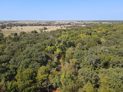 Texas Hunting Land For Sale Ranches Montague County Property - image 29