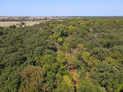 Texas Hunting Land For Sale Ranches Montague County Property - image 11