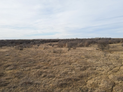 Texas Hunting Land For Sale Ranches Montague County Property - image 3