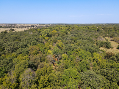 Texas Hunting Land For Sale Ranches Montague County Property - image 9