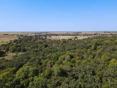 Texas Hunting Land For Sale Ranches Montague County Property - image 28