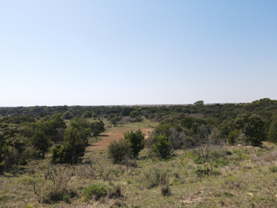 Texas Hunting Land For Sale Ranches Montague County Property - image 4