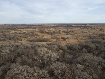 Texas Hunting Land For Sale Ranches Montague County Property - image 6