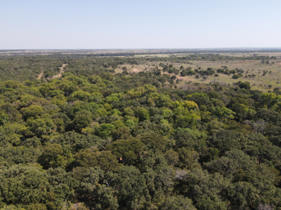 Texas Hunting Land For Sale Ranches Montague County Property - image 14