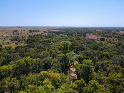 Texas Hunting Land For Sale Ranches Montague County Property - image 8