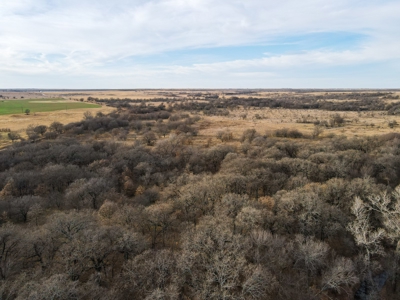 Texas Hunting Land For Sale Ranches Montague County Property - image 16