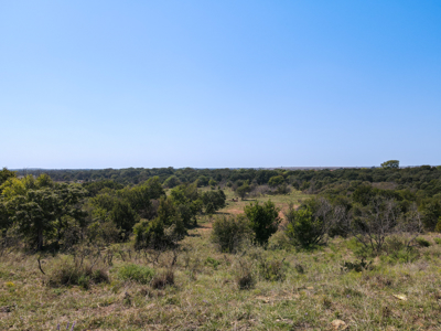 Texas Hunting Land For Sale Ranches Montague County Property - image 3