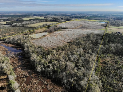 117ac Farm Land for Sale Geneva Alabama - South Alabama - image 5