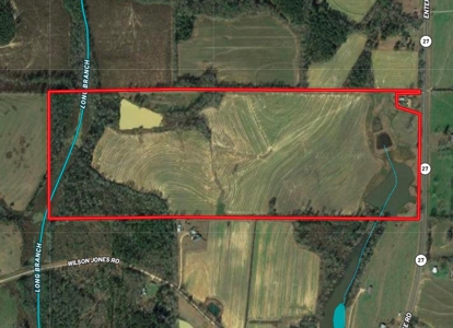 117ac Farm Land for Sale Geneva Alabama - South Alabama - image 4