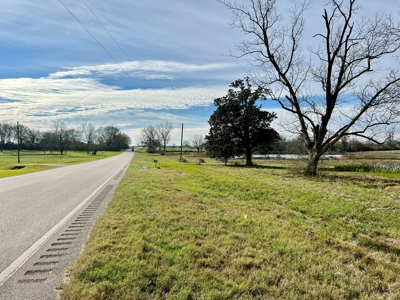 117ac Farm Land for Sale Geneva Alabama - South Alabama - image 9