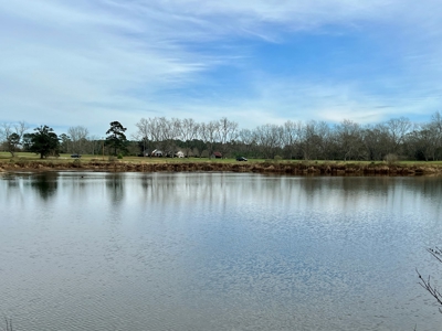 117ac Farm Land for Sale Geneva Alabama - South Alabama - image 39