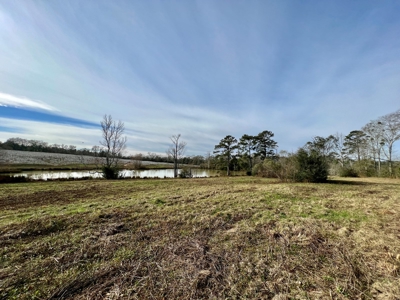 117ac Farm Land for Sale Geneva Alabama - South Alabama - image 19