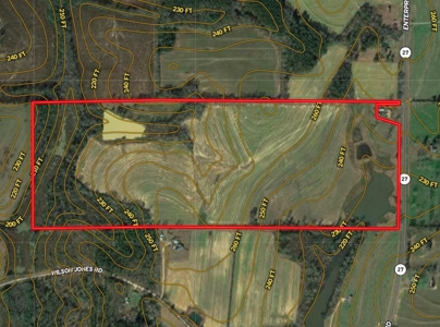 117ac Farm Land for Sale Geneva Alabama - South Alabama - image 28