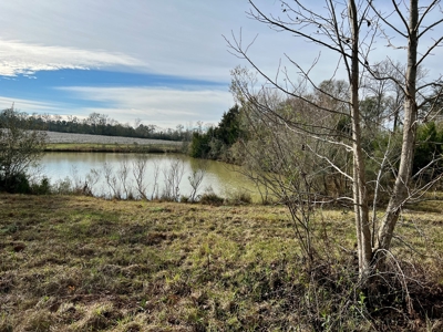 117ac Farm Land for Sale Geneva Alabama - South Alabama - image 20