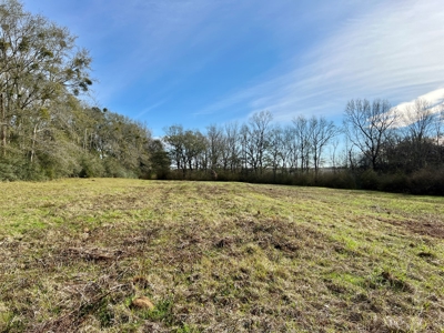 117ac Farm Land for Sale Geneva Alabama - South Alabama - image 3