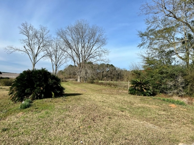 117ac Farm Land for Sale Geneva Alabama - South Alabama - image 10