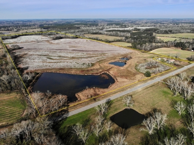 117ac Farm Land for Sale Geneva Alabama - South Alabama - image 1